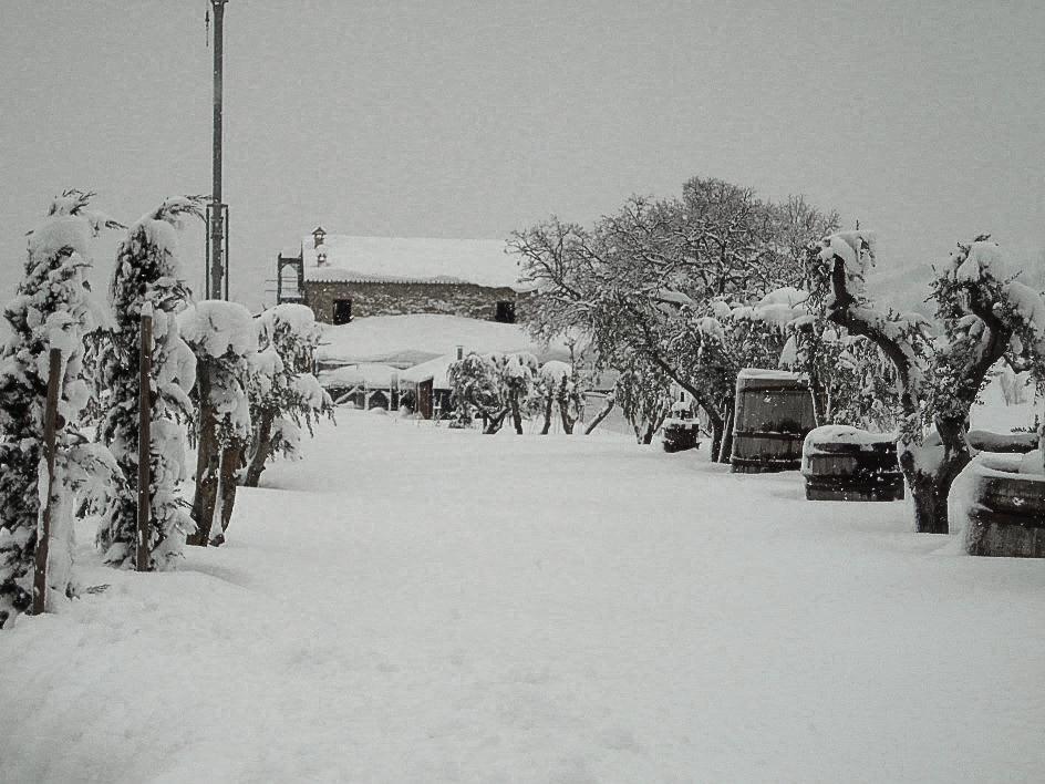 Agriturismo Ca' Maggio Sasso Feltrio Bilik gambar